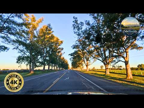 Sunny Afternoon Drive | Santa Lucía to Montevideo Access Roads, Uruguay 🇺🇾 | 4K 60FPS