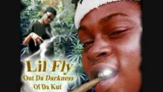 Lil Fly - Funkytown&#39;s In My Brain
