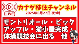 413ライブ【2025/6.27】モントリオール・信号機・マーケット・引越し手伝い・アップルパイ・ねこ小屋完成・体操協議会に出るぞ！