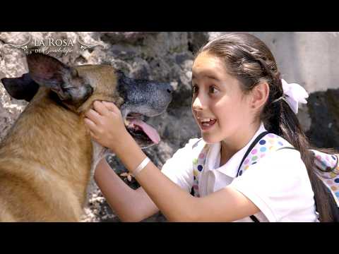 La Rosa de Guadalupe | MIS OJOS DE LUZ  [Parte 1] | Capítulo 2026 Full HD