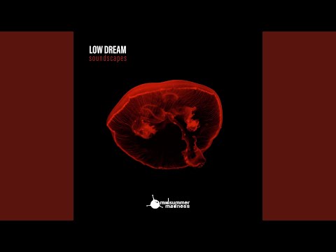 My Dear Ocean (Acoustic)