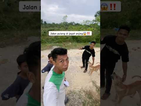 Jalan pulang di jegat anjing😱‼️#minivlog #bolang #petualagan #villagekidslife #survival #bermain