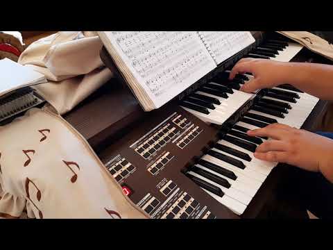 CCB - Meia  Hora - Hinos 280, 316, 91 e 12 - Órgão Tokai D-2 Classic