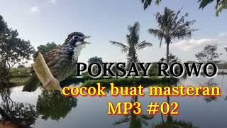 Download lagu poksay rowo gacor cocok buat masteran mp3 Download lagu poksay rowo gacor cocok buat masteran mp3