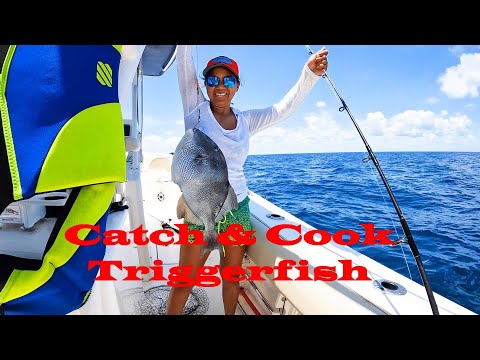 Triggerfish Catch and  Cook Pakol Fish #fishing 