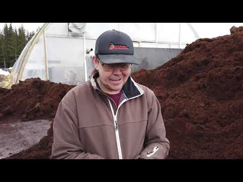 Kookos kasvualustana