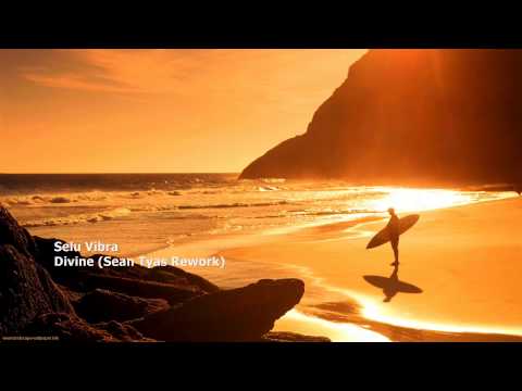 Selu Vibra - Divine (Sean Tyas Rework)
