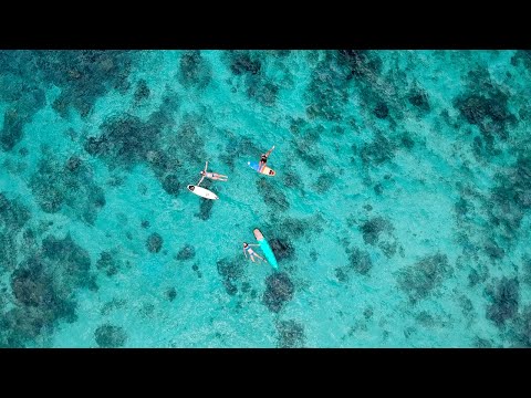 Hawaii Surf Adventure 2026 | Organized by Pata Sudaka Surf Camp