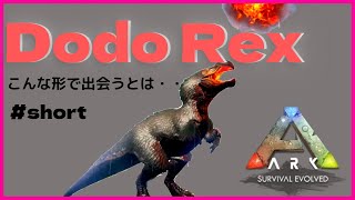 モグラと見間違えたドードーレックス　#shorts ARK:MOD/アーク