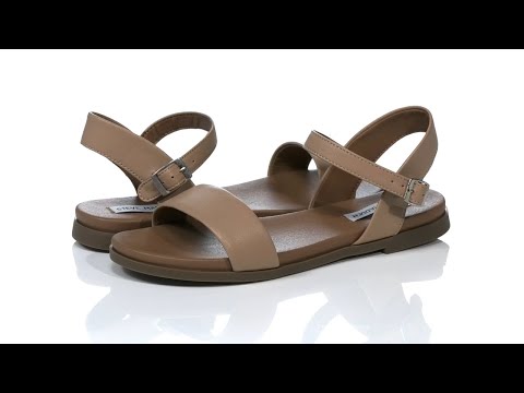 Steve madden dina sandal black hot sale
