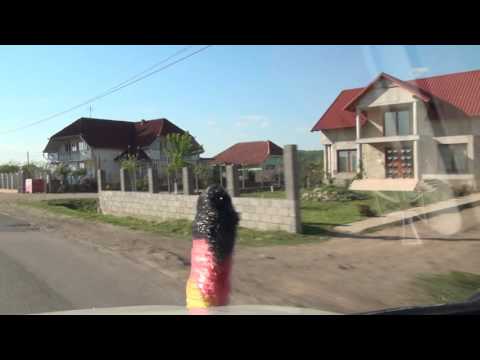 Satu Barbă Margine Abram Chiribiş 19B Județul Bihor Kreischgebiet Rumänien 21.4.2016