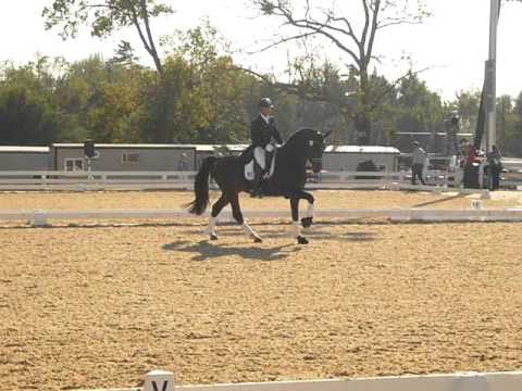 World Equestrian Games 2010 Steffen Peters on Ravel- warm-up