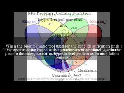 Hypothetical protein Top # 6 Facts