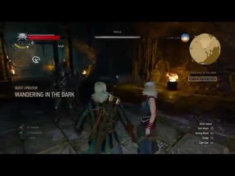 The Witcher 3 Wild Hunt Warrior Fight (Nithral) ps4