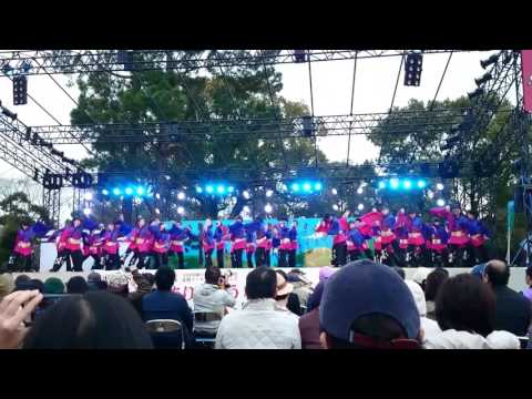 看護学科 九州がっ祭 第肆回火の国青春合戦～春の陣～ 「APUよっしゃ虎威 夜の燦」