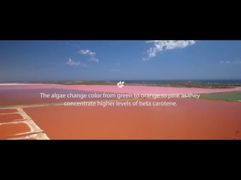 Nutrilite Multi Carotene- A Bright Idea for Your Eyes.