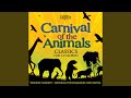 Carnival of the Animals: X. Aviary