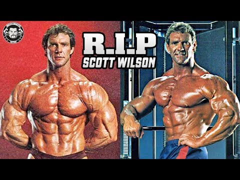 download lagu mp3 mp4 Scott Wilson Bodybuilder Now, download lagu Scott Wilson Bodybuilder Now gratis, unduh video klip Scott Wilson Bodybuilder Now