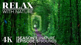 4K UHD Relax with Nature - Episode 5 - Most Stunning Landscapes of the World with Nature Sounds