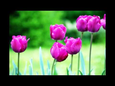 Engel-Botschaften während der Rauhnächte: Mai 2016