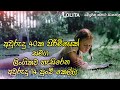 මැදිවියේ තරුණයන්ට පෙම්කළ අවුරුදු 14 කෙ