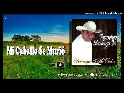 FRANCISCO MONTOYA JR - MI CABALLO SE MURIO @joelantonionarvaez @franciscomontoya9359