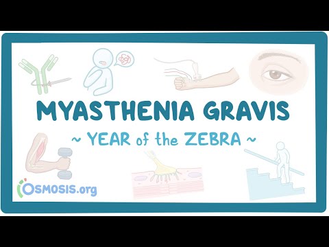 Myasthenia gravis (Year of the Zebra 2024)