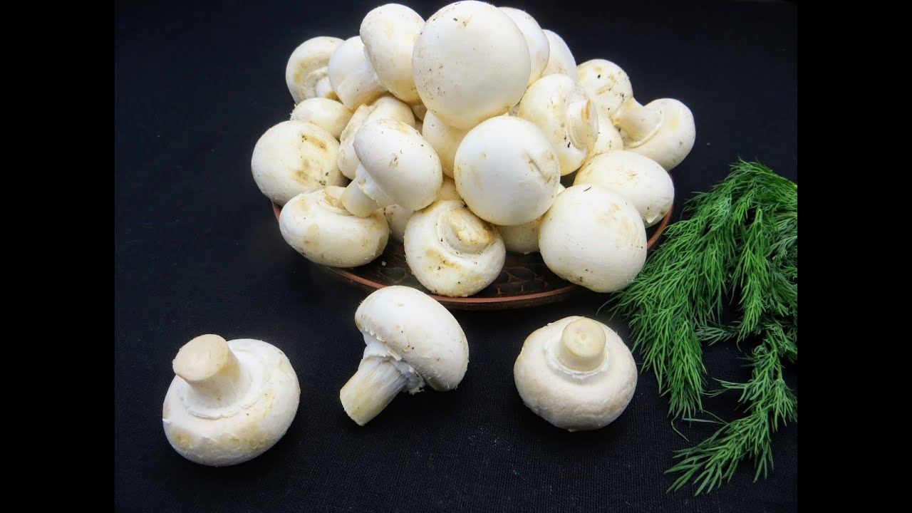 Шикарная закуска из грибов шампиньонов - золотые грибочки!