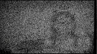 BOLOGNA VIOLENTA - La donna nel mondo