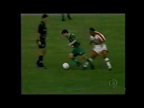 Botafogo-SP 0 x 1 Palmeiras - Campeonato Brasileiro 2001