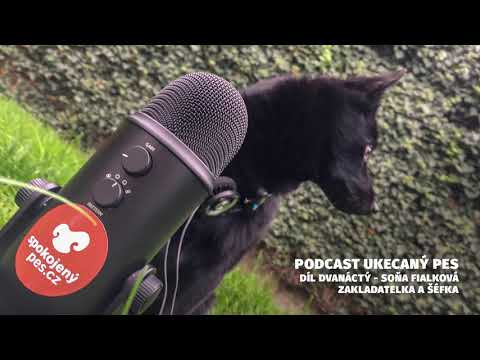 Náhled pro video reference