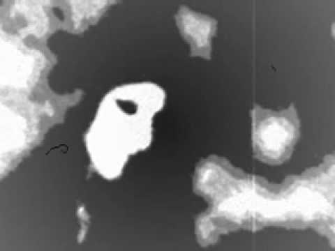 Zühl - Konstantin Raudive