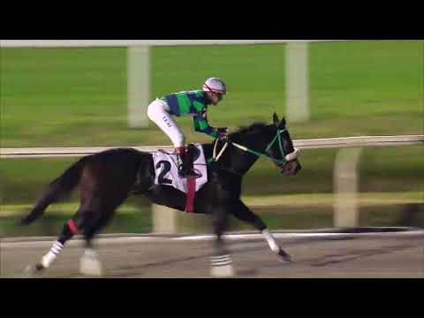 230708 c09 REYSTHEREYS (BRZ)