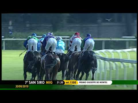 2019.06.30 Premio Giuseppe De Montel (ITA) - Only Time