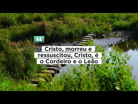 O Cordeiro E O Leão - Fernanda Brum
