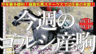 今週のゴールドシップ産駒 (04/18,19)【今年最多勝利！福島牝馬ステークスでは圧巻の末脚！／コガネノソラ,パンジャ,ピンキープロミスなど】
