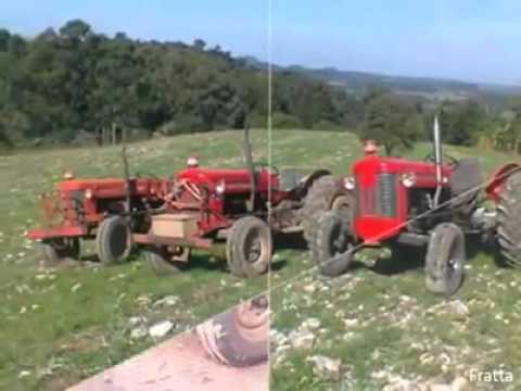 MF serie x os herois