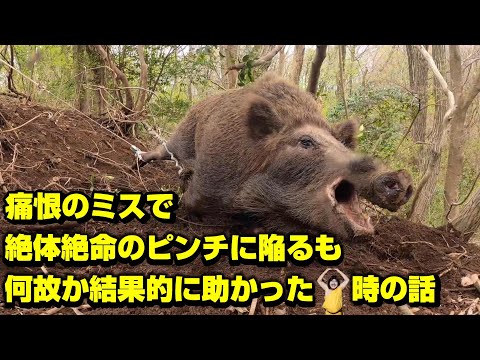 独自のハエ捕りを構築する: 確実に機能する 3 つのシンプルな捕獲器 自然と動物