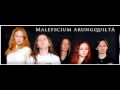 MALEFICIUM ARUNGQUILTA - Слёзы и Пламя (Single 2013 ...