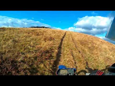 Spre Negrileasa cu Cristy Moldovan