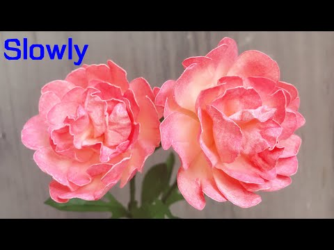 ABC TV | How To Make Easy Peony Paper Flower With Shape Punch (Slowly) - Craft Tutorial