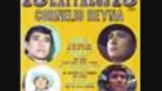 me caiste del cielo   Cornelio Reyna