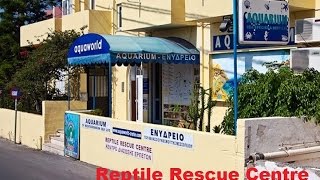 preview picture of video 'Reptile Rescue Centre Hersonissos Crete Greece'