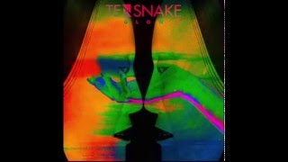 Love Sublime (feat. Nile Rodgers & Fiora) - Tensnake