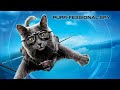 Cats And Dogs In Tamil