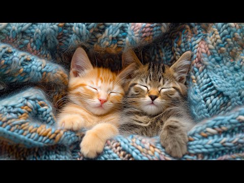 Best Lullaby Music for Cats - 12 Hours of Music that Cats Like, Cats Love Music - Sleepy Cat 💤