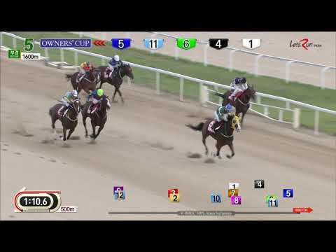 Busan Owners' Cup 2019 - Blue Chipper