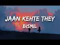 Jaan Kehte They Lyrics Bismil Kunaal Vermaa