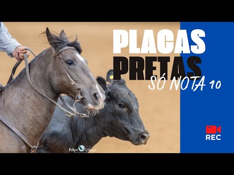 Notas 10 da Final Nacional de Paleteadas 2025