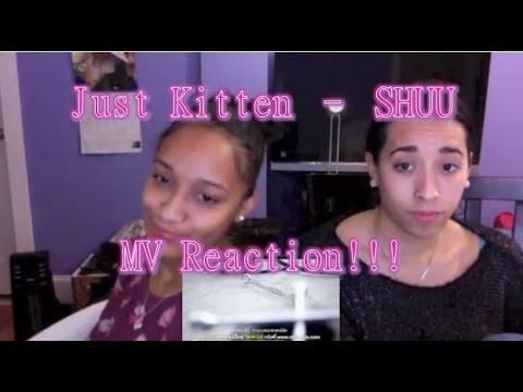 แค่เหมียว (Just Kitten) - SHUU MV Reaction!!!